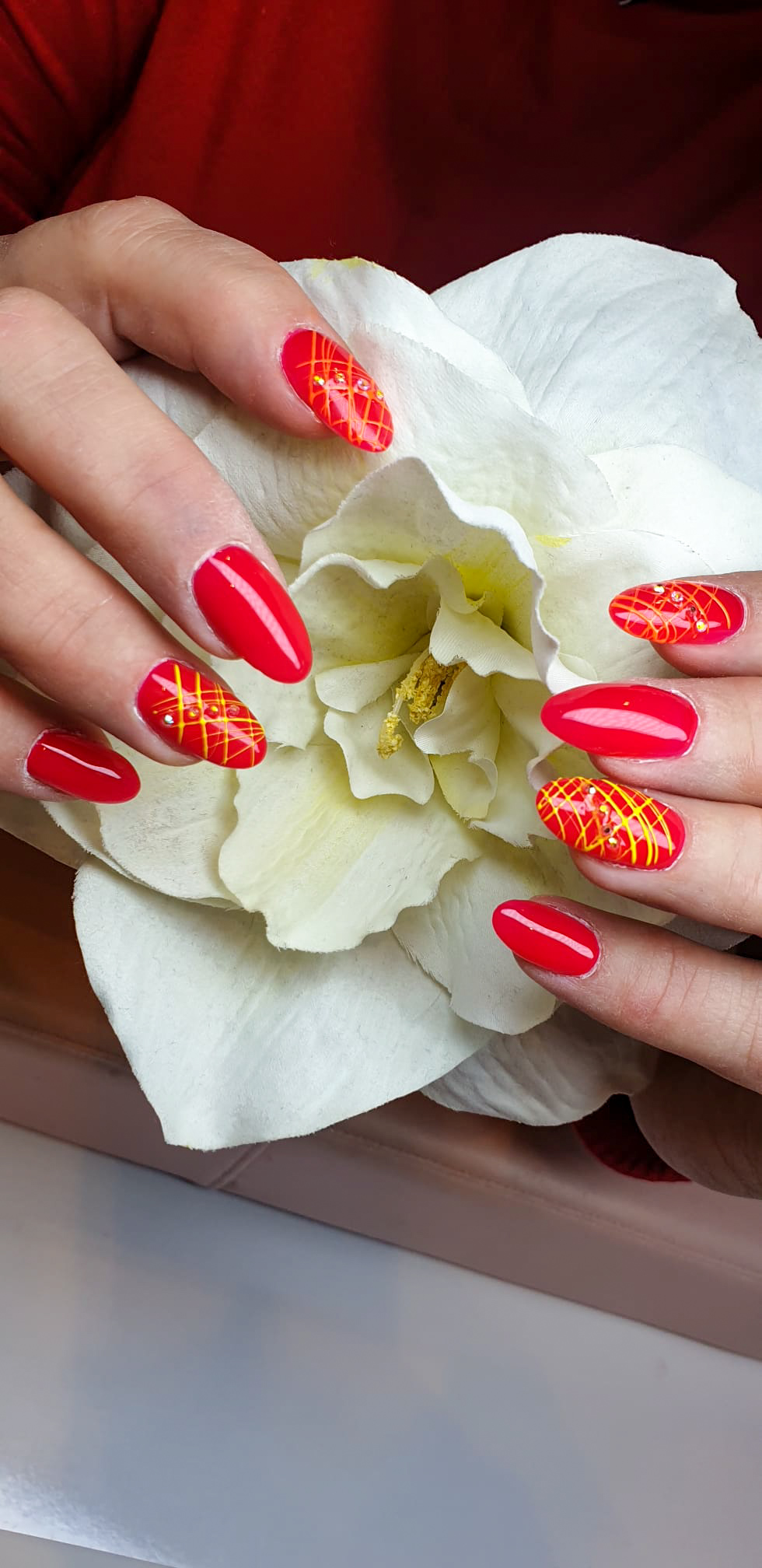 blog-image